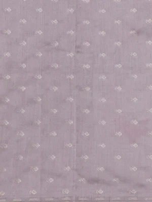 Beige Tissue Organza Hand Painted Silk Saree