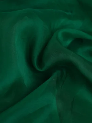 Green Pure Organza Silk Saree With Embroidery Readymade Blouse