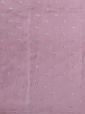Peach Organza Hand Painted Silk Saree