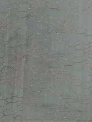 Pastel Green Organza Hand Painted Silk Saree