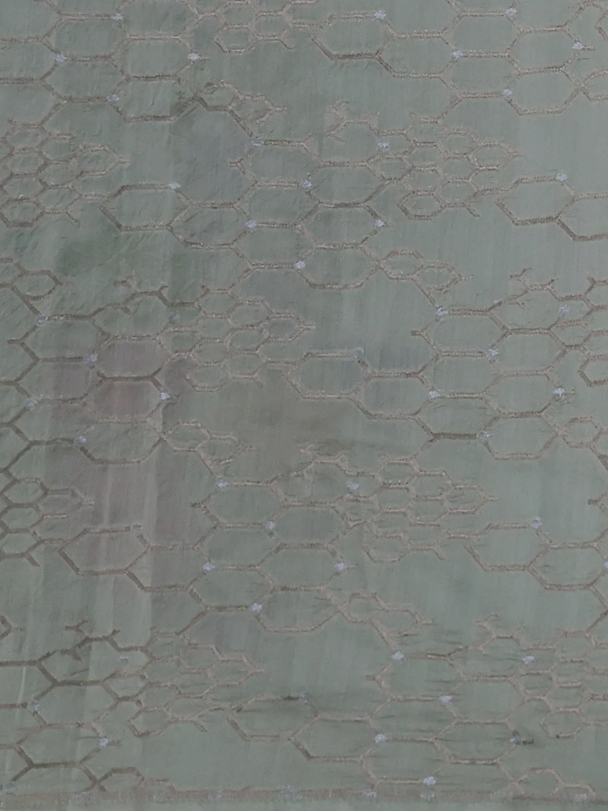 Pastel Green Organza Hand Painted Silk Saree - Image 3