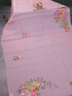 Mild Peach Organza Hand Painted Silk Saree