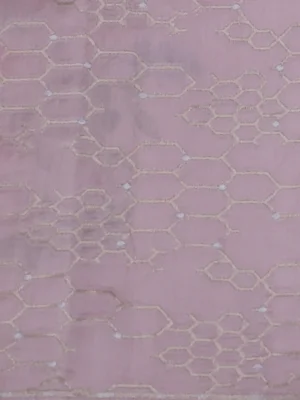 Mild Peach Organza Hand Painted Silk Saree